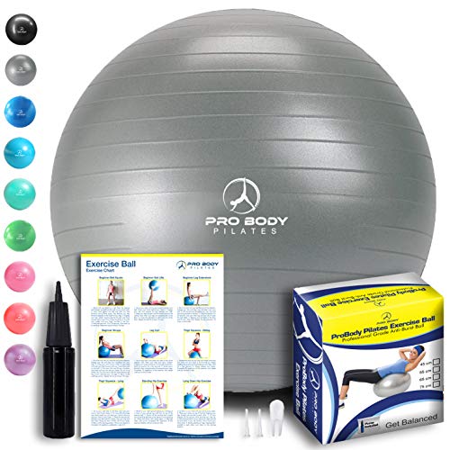 ProBody Pilates Exercise Ball - Professional Grade Anti-Burst Fitness, Balance Ball for Yoga, Birthing, Stability Gym Workout Training and Physical Therapy - Work Out Guide Included (Silver, 45 cm)