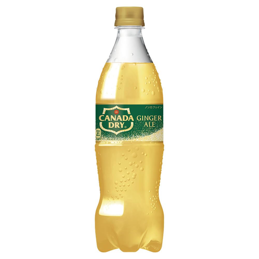 コカ・コーラ カナダドライジンジャーエール700mlPET ×20本商品画像