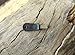 bayite Pack of 10 Striker-Pro High Speed Steel Striker for Ferro Rod Fire Starter