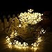 Outdoor Solar LED String lights Addlon garden decorative lighting,23ft 50 LED 8work Modes,Blossom Ambiance lighting for Outdoor, Garden, Home, Wedding, Christmas party, Waterproof (Warm White)