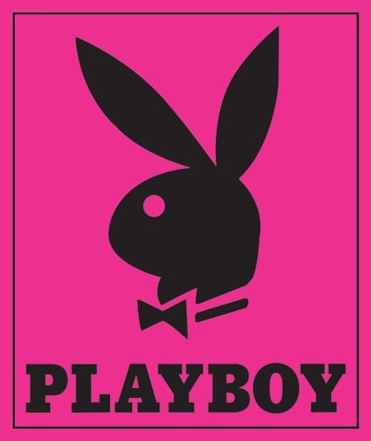 Amazon Com Playboy Pink Plush Blanket Comforter Queen Size