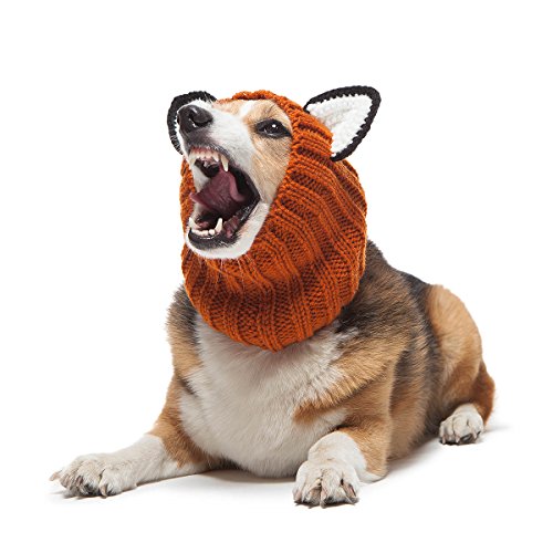 cool gift items on amazon related to Pet Supplies huge collection of amazon products that are Costumes, cool items
