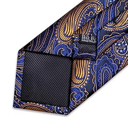 DiBanGu Silk Paisley Ties for Men Woven Necktie and