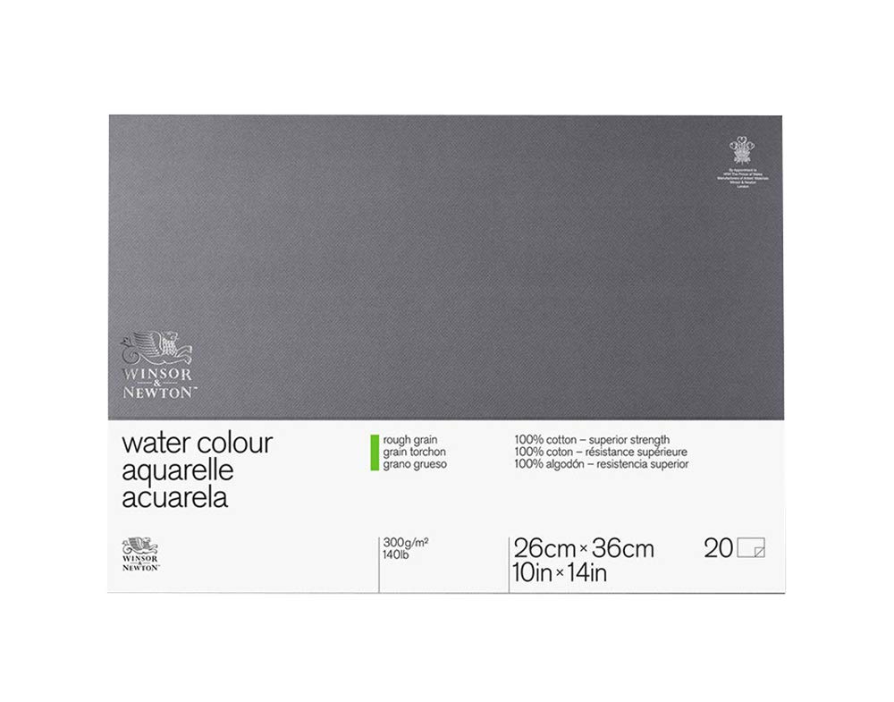 Winsor & Newton Rough Water Colour Paper, Glued Block (300 GSM, 25.4 cm x 35.6 cm), White 6663272