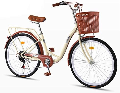 mens dutch bike