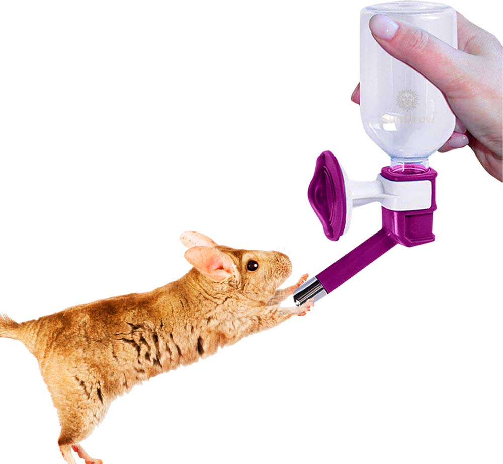 The 9 Best Pet Jar Water Dispenser Filter