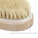 Foxnovo Bristle Body Brush without Handle