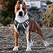 BABYLTRL Big Dog Harness No Pull Adjustable Pet Reflective Oxford Soft Vest for Large Dogs Easy Control Harness (M, Black)