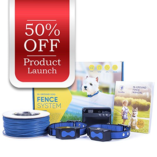 boundary dog shock collar buyer's guide