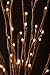 The Light Garden WLWB60 184136 Decorative Lights, 20 in