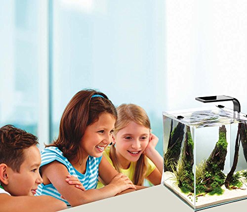 Cobalt Aquatics 14012 Microvue3 30 Aquarium Kit