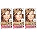 L'Oreal Paris Excellence Creme Permanent Hair Color, 100 percent Gray Coverage Hair Dye, Pack of 3