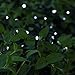 EJFOIEJ Solar String Lights, Outdoor String Lights 72 ft 8 Modes 200 LED Christmas Lights Waterproof Decotation Outdoor Lighting for Gardens Patio Holiday Party(White)
