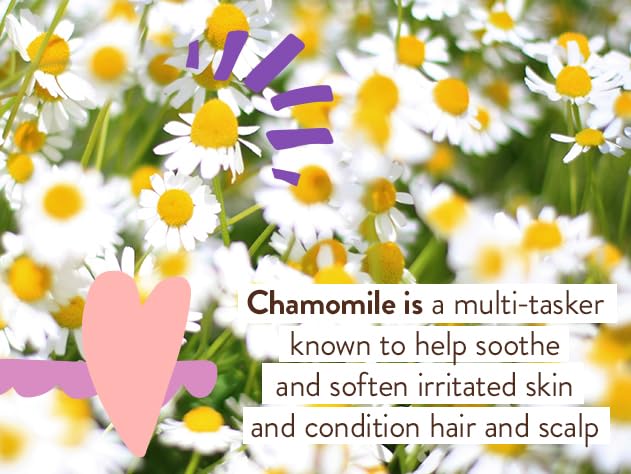 BABO Botanicals Calming Lavender 2-in-1 Bubble Bath & Wash - Relaxing Chamomile & Lavender - EWG Verified- Vegan- for All Ages- Scented with Lavender Essential Oil - 1 or 2-Pack