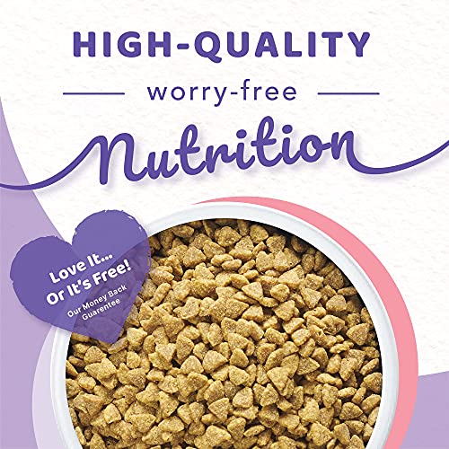 Halo Indoor Dry Cat Food, Grain Free, Wild Salmon & Whitefish 6Pound