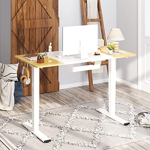 FLEXISPOT EP4 Electric Standing Desk Dual Motor 3 Stages Height