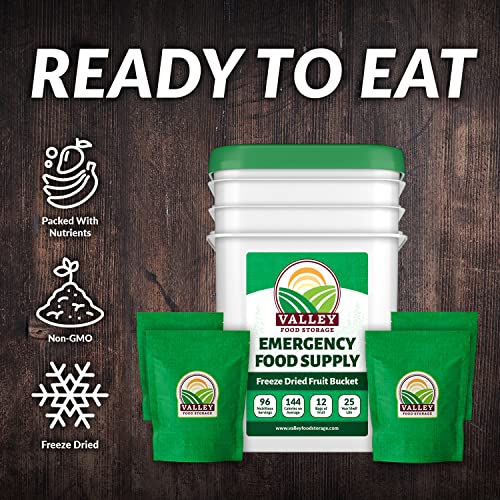 Valley Food Storage Freeze Dried Fruit Bucket 12 Pouches Premium