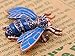 Alilang Copper Tone Shine Sapphire Blue Crystal Rhinestones Enamel Beetle Bee Brooch Pin