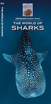 The World Of Sharks Jeff Corwin S Explorer Series Lam