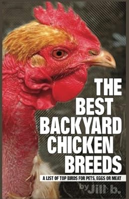 The Best Backyard Chicken Breeds B W Edition A List Of Top