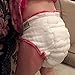 Cloth-eez Workhorse Fitted Cloth Diaper Medium