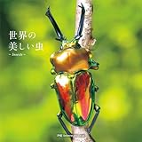 世界の美しい虫