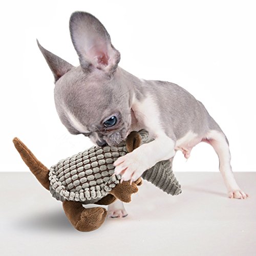 Hollypet Squeaky Armadillo Pet Plush Dog Chew Toy - //medicalbooks.filipinodoctors.org