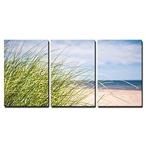 3 Piece Canvas Wall Art - Grass Growing on Sandy Beach at Atlantic Coast of Prince Edward Island, Canada - Modern Home Art Stretched and Framed Ready to Hang - 16"x24"x3 Panels
