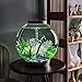 biOrb CLASSIC 60 Aquarium with LED Light - 16 Gallon, Silver