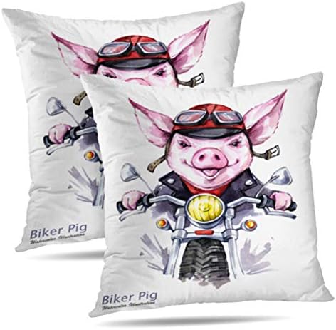 Tyfuty Set of 2 18 x 18 inch Elements Throw Pillow Covers Children Watercolor Pig Jacket Funny Biker Transport Symbol 2019 Year Pillowcases Cushion Use for Living Room Bed Sofa