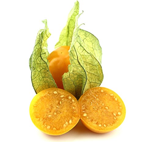 Cape Gooseberry, Ground Cherry seeds - Physalis peruviana