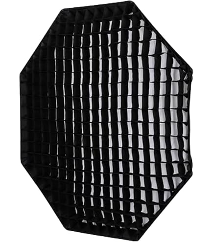 Amazon.com : Godox Honeycomb Grid for Godox QR-P120 P120L P120H