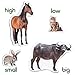 Fridge Magnets for Toddlers - Magdum - 16 Farm Animal Magnets for Refrigerator - Magnetic Animals for Children - Realistic magnets for Kids – Learning Set - Baby Educational Gift