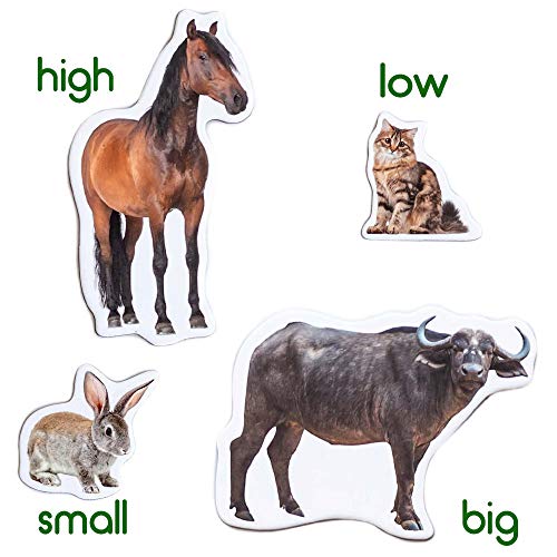 animal magnets for toddlers