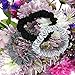 Mulberry Park Silks 100% Pure Silk Scrunchies, 3 Pack - Prevents Frizz, Reduces Breakage, Gentle On All Hair Types, Hair Accessories - Small (Black/Silver/Gunmetal)