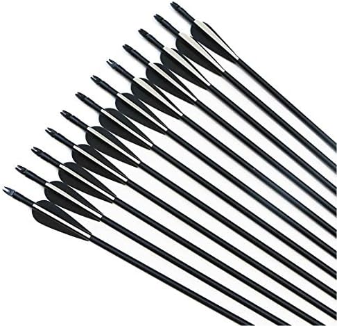 10Der Archery Arrows for Competition