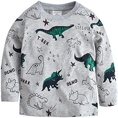 SORREL Toddler Kids Long Sleeve Sweatshirt Boys Cotton Crewneck Dinosaur T-Shirt For 2 3 4 5 6 7 8 T