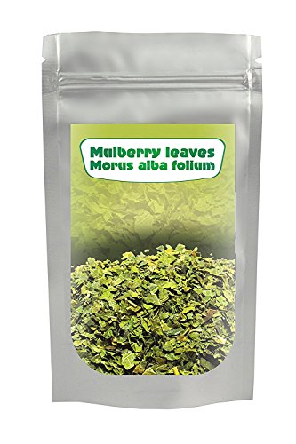 WeiÃe Maulbeere Blatt Tee (Morus alba) 400G, geschnitten