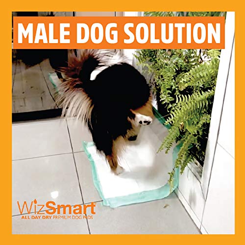 WizSmart AllDay Dry Premium Dog and Puppy Potty Training Pads, Quick Drying, Absorbent, and