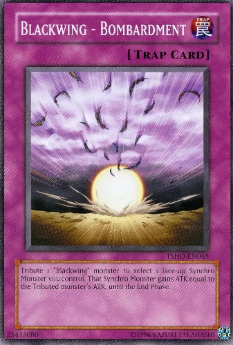 Yu-Gi-Oh! - Blackwing - Bombardment (TSHD-EN065) - The Shining Darkness - Unlimited Edition - Common