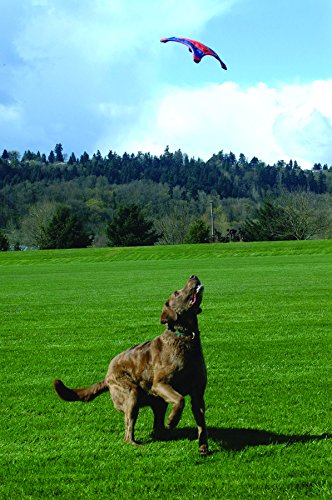 Chuckit! Small Flying Squirrel
