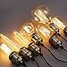 INNOCCY Edison Light Bulb , 60W E26 E27 Vintage Bulb Dimmable ST64 Antique Squirrel Cage Light , 2300K , 240 Lumens , Pack Of 12