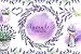 8 Ounces Bag Organic Lavender Flowers Dried - Highland Grow Edible Culinary Grade - Gluten-Free, Non-GMO - Perfect for Baking, Lemonade, Salt, Candles, Baths. Fresh Scent and Beautiful Color