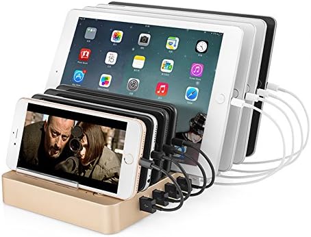 Likisme 96W 8-Port Dual QC3.0 Quick Charge USB Charging Station Dock & Organizer for iPhone 7 6s Plus, iPad Air Mini, Galaxy S Note Series and More(Champagne)