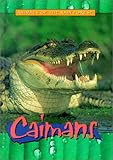 Caimans