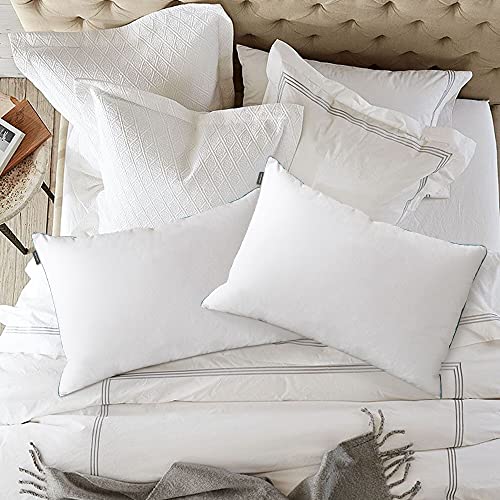 Basic Beyond Feather Pillows Standard Size Set of 2 Down Feather