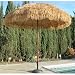 NEW 8' Wide Hawaiian Tiki Design Beach Umbrella w Fiberglass Rib & Aluminum Pole primary