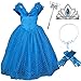2015 New Cinderella Butterfly Party Dress Costume with Accessories (5-6)