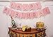 Sterling James Co. Pink Happy Birthday Bunting Banner with Shimmering Gold Letters - Birthday Decorations - 21st - 30th - 40th - 50th Birthday Party Supplies