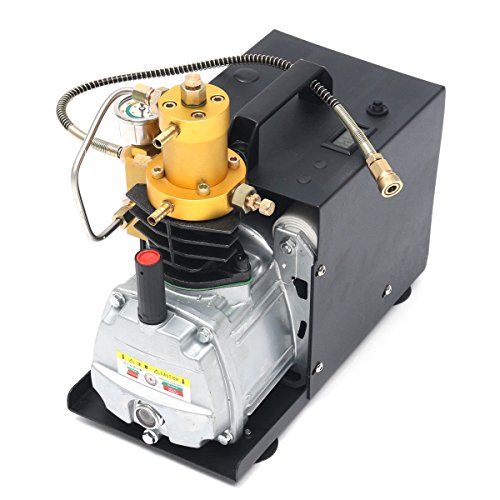 30Mpa Electric Air Compressor for Airgun Paintball Refilling 220V Pump Machine
